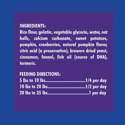 N-Bone Pumpkin Puppy Teething Rings