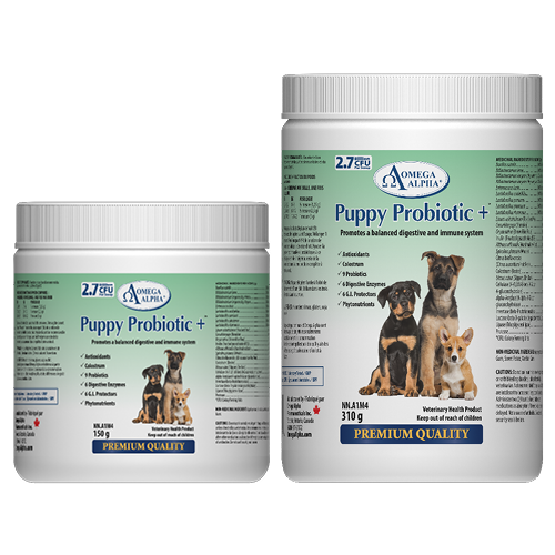Omega Alpha 🍁Puppy Probiotics+