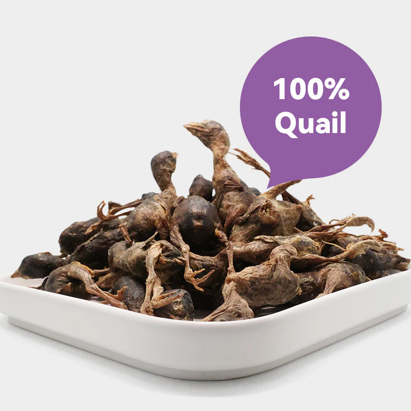 Ranova Freeze Dried Whole Quail 40g