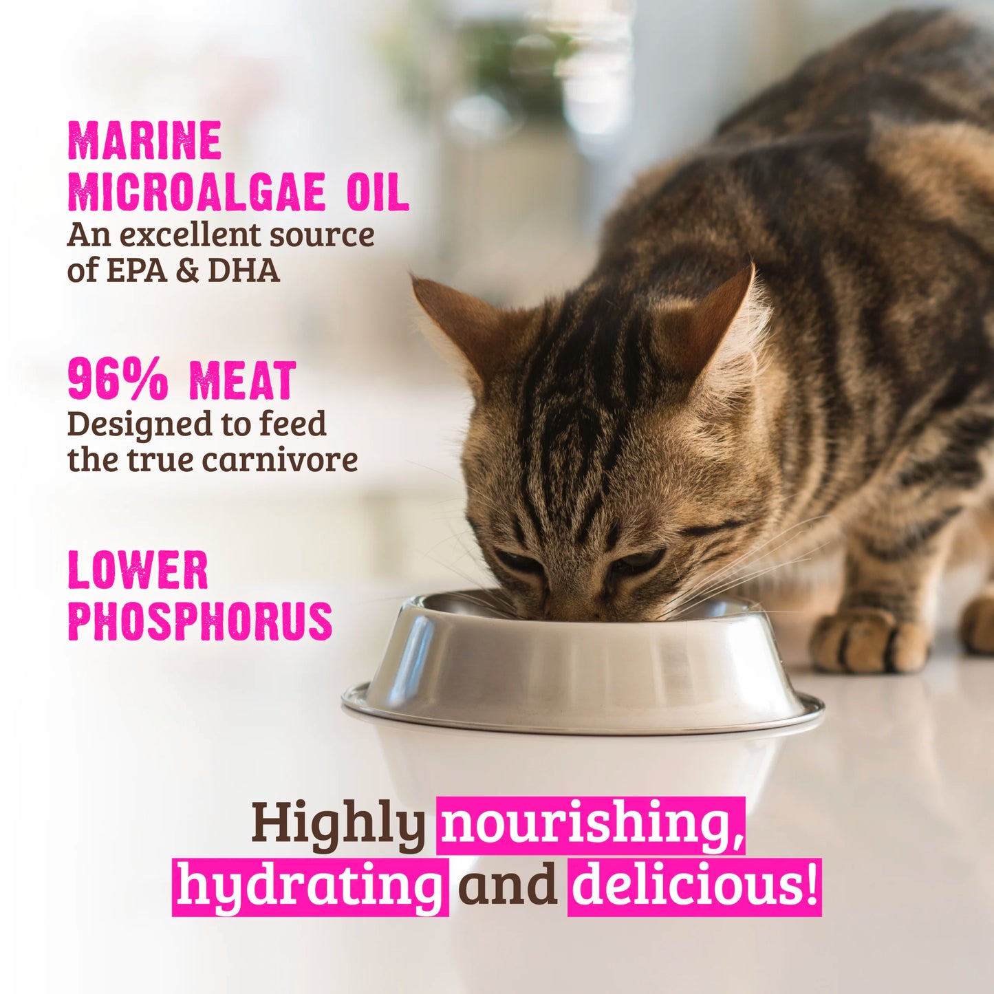 RAWZ® Phosphorus Tuna & Salmon Pâté in Broth Recipe Wet Cat Food 5.5oz