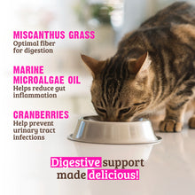 RAWZ Rabbit & Cranberry Digestive Support for Cats