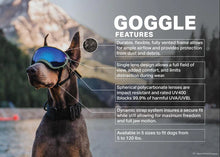 Rex Specs V2 Himalayan Pink Goggles for Dogs