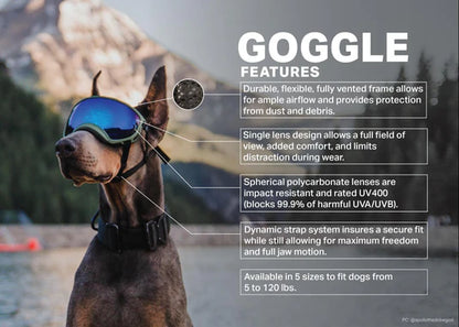 Rex Specs V2 Hurricane Blue Goggles for Dogs