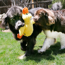 KONG Comfort Jumbo XL Ducks in Yellow or Purple