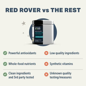 Four Leaf Rover Red Rover - Organic Berries For Dogs