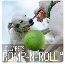 Jolly Pets Romp-n-Roll Ball Asst'd
