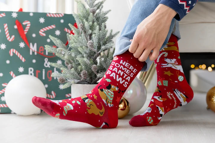 Santa Paws Socks - For Him 🍁 Uptown Sox