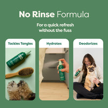 Earth Rated 🍁White Tea & Basil Refresh Mist Grooming Deodorizing Spray