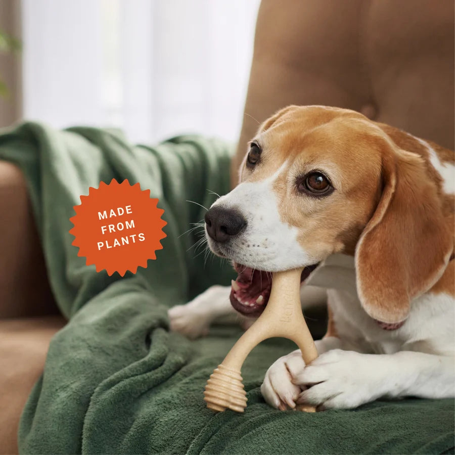 BetterBone Medium Beef Dog Chew for Light to Strong Chewers