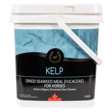 Golden Horseshoe Kelp Dried Seaweed Meal 5.5kg