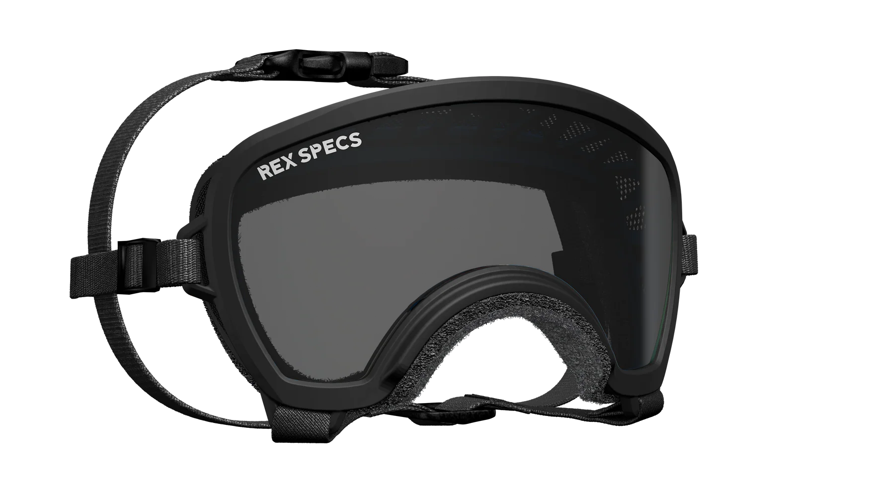 Rex Specs Small Wide Goggles for Dogs – All Creatures Great & Small Cobourg