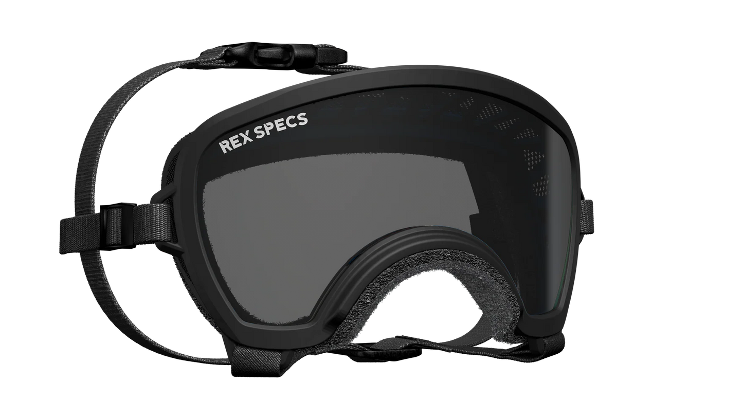 Rex Specs Small Wide Goggles for Dogs