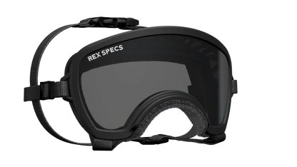 Rex Specs Small Wide Goggles for Dogs