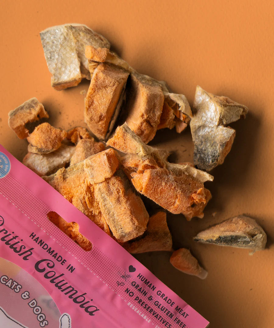 Wild Vibes Treat Co. Salmon & Bone Broth 75g