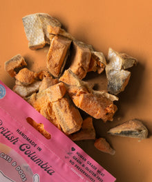 Wild Vibes Treat Co. Salmon & Bone Broth 75g