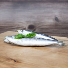 Whole Sardines 1lb 🍁 Big Country Raw