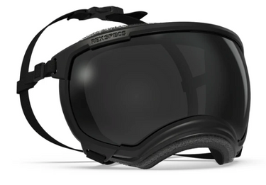 Rex Specs V2 Black Dog Goggle