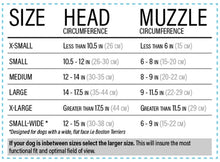 Rex Specs V2 Single Clear Lens