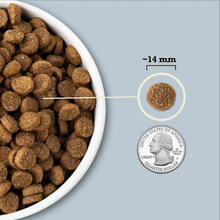 Acana Sea to Stream Recipe for Dogs