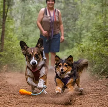 RUFFWEAR Campfire Orange Gourdo Dog Toy