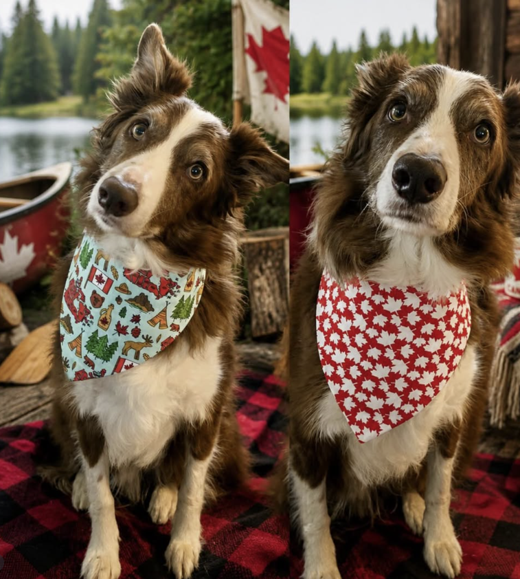 Colly's Creation 🍁Maple Leaf & Canadiana Reversible Bandanna