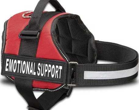 Julius K9🍁 Emotional Support Harness Patch