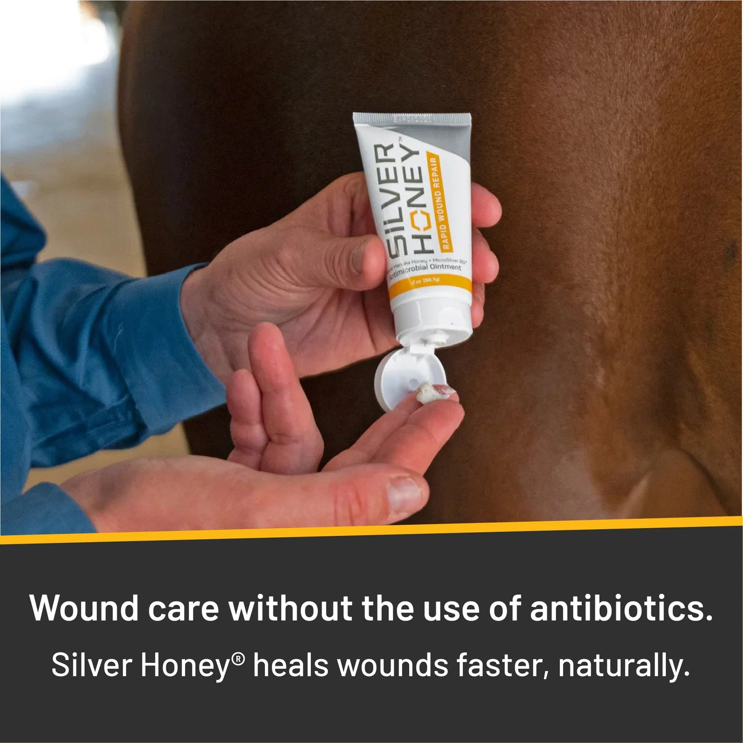 Absorbine Silver Honey Rapid Wound Repair Ointment 56.7g