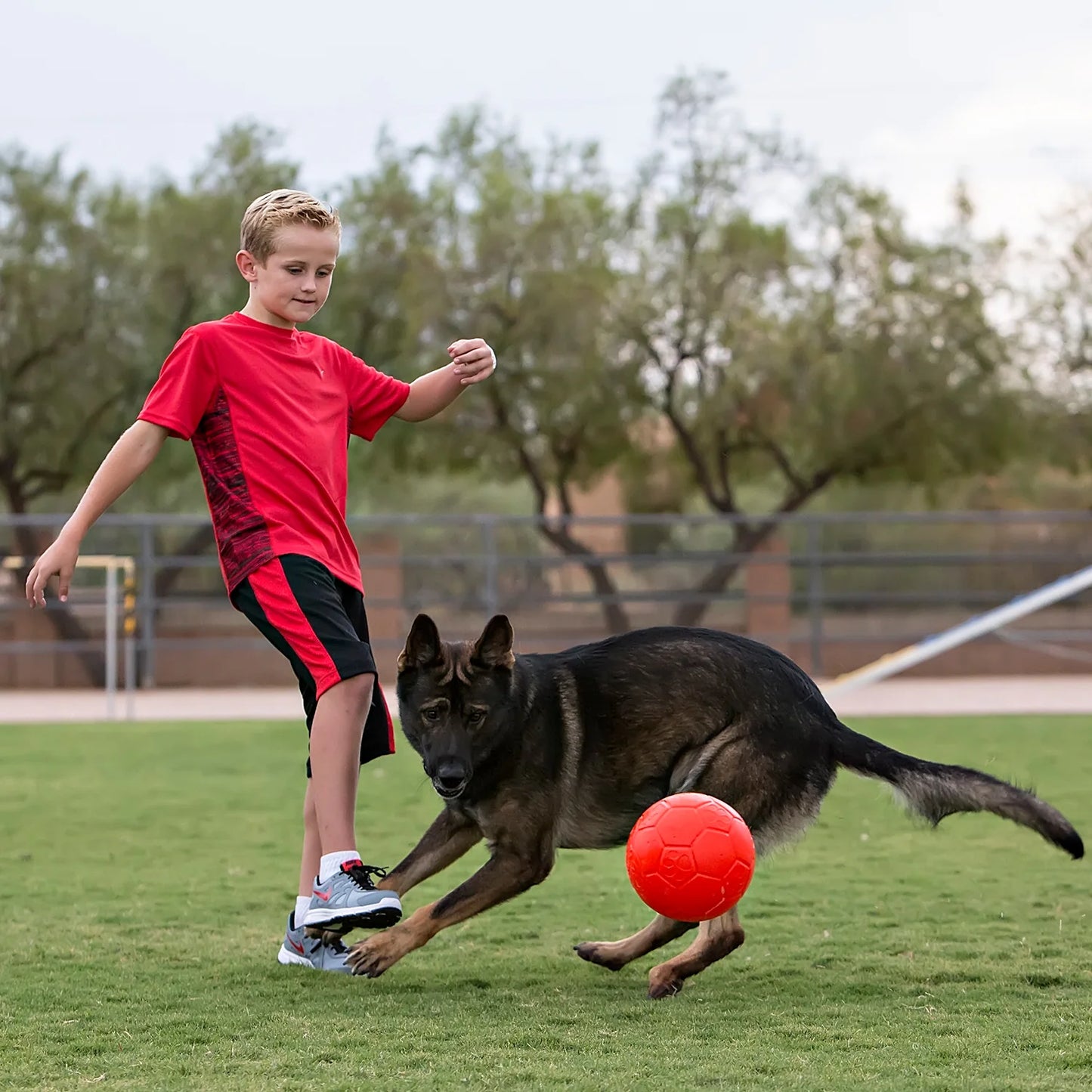 Jolly Pets Soccer Ball Asst'd