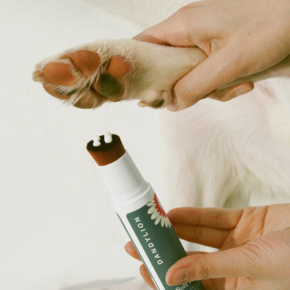 Dandylion 🍁 Soft Paws Hydrating Paw Lotion