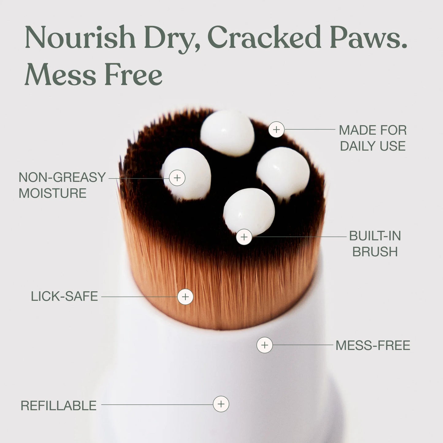 Dandylion 🍁 Soft Paws Hydrating Paw Lotion