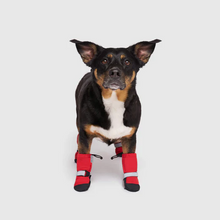 Canada Pooch Red Soft Shield Boots for Dogs 4-Pack