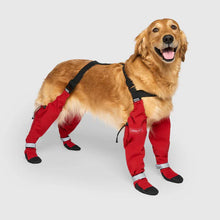 Canada Pooch Suspender Boots Red Long