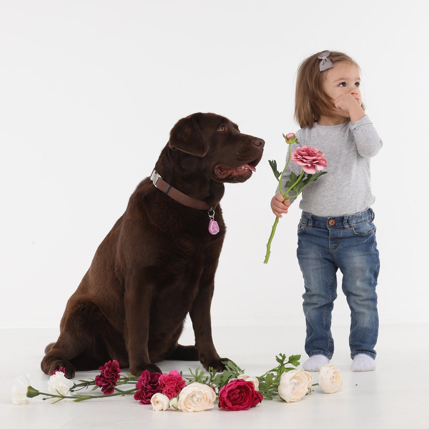 Tickless Classic Pink Ultrasonic Tick and Flea Repellent