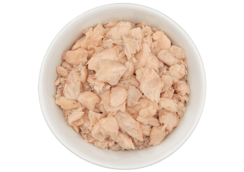 Tiki Cat Luau Salmon Wet Cat Food 2.8oz