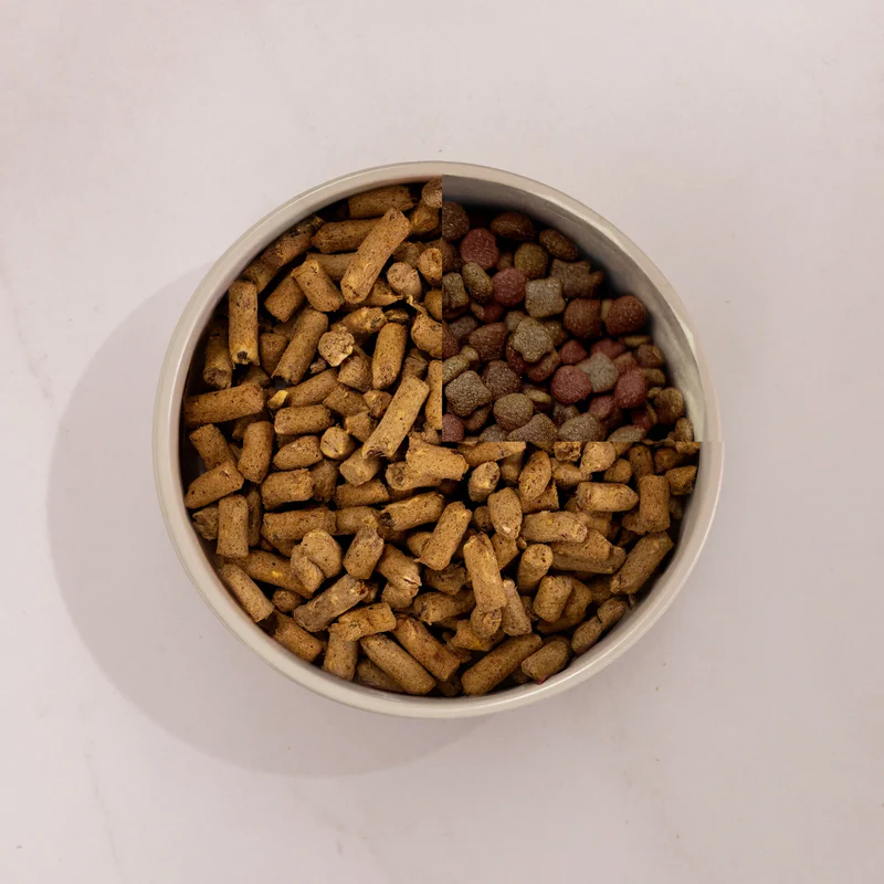 K9 Natural™ New Zealand Beef Feast Freeze-Dried Dog Food
