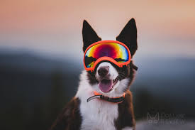 Rex Specs V2 Lens Red Mirror