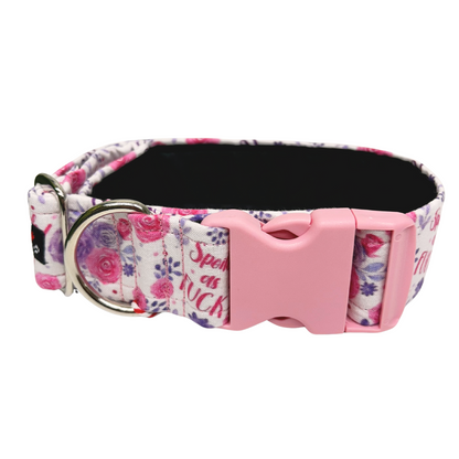 Wiggle Bumz 🍁Spoiled AF Pink Clip Collar