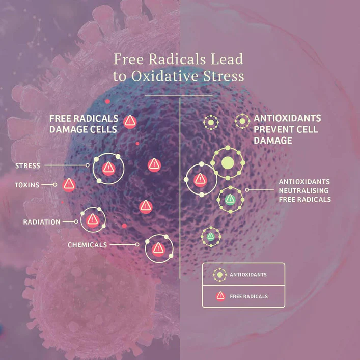 Adored Beast 🍁Vital Defense Cellular Support 50g