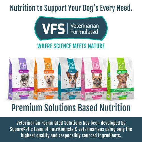 Square Pet VFS Canine Active Joints + Healthy Heart