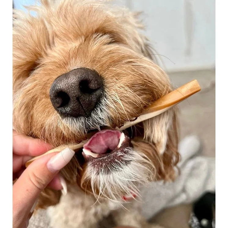 Fruit Straw Dental Chews  - Maks Patch