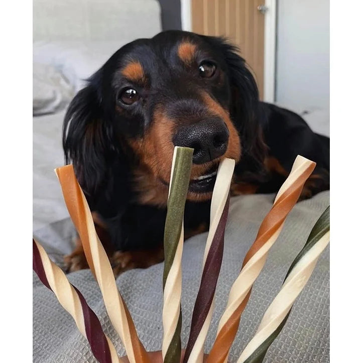 Fruit Straw Dental Chews  - Maks Patch