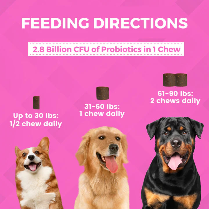 Progility Pre + Pro Biotics with Enzymes for Dogs
