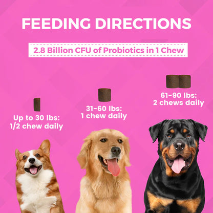 Progility Pre + Pro Biotics with Enzymes for Dogs