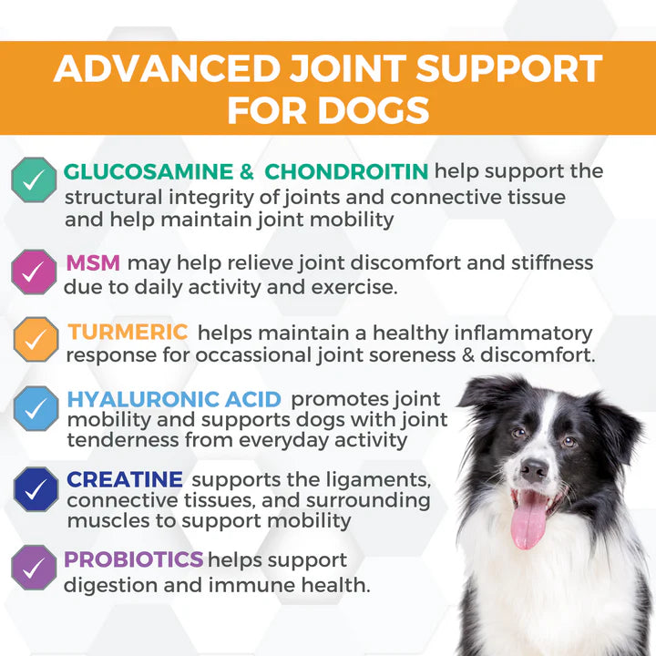 Progility Hip & Joint Soft Chew for Dogs