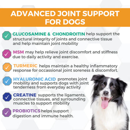 Progility Hip & Joint Soft Chew for Dogs