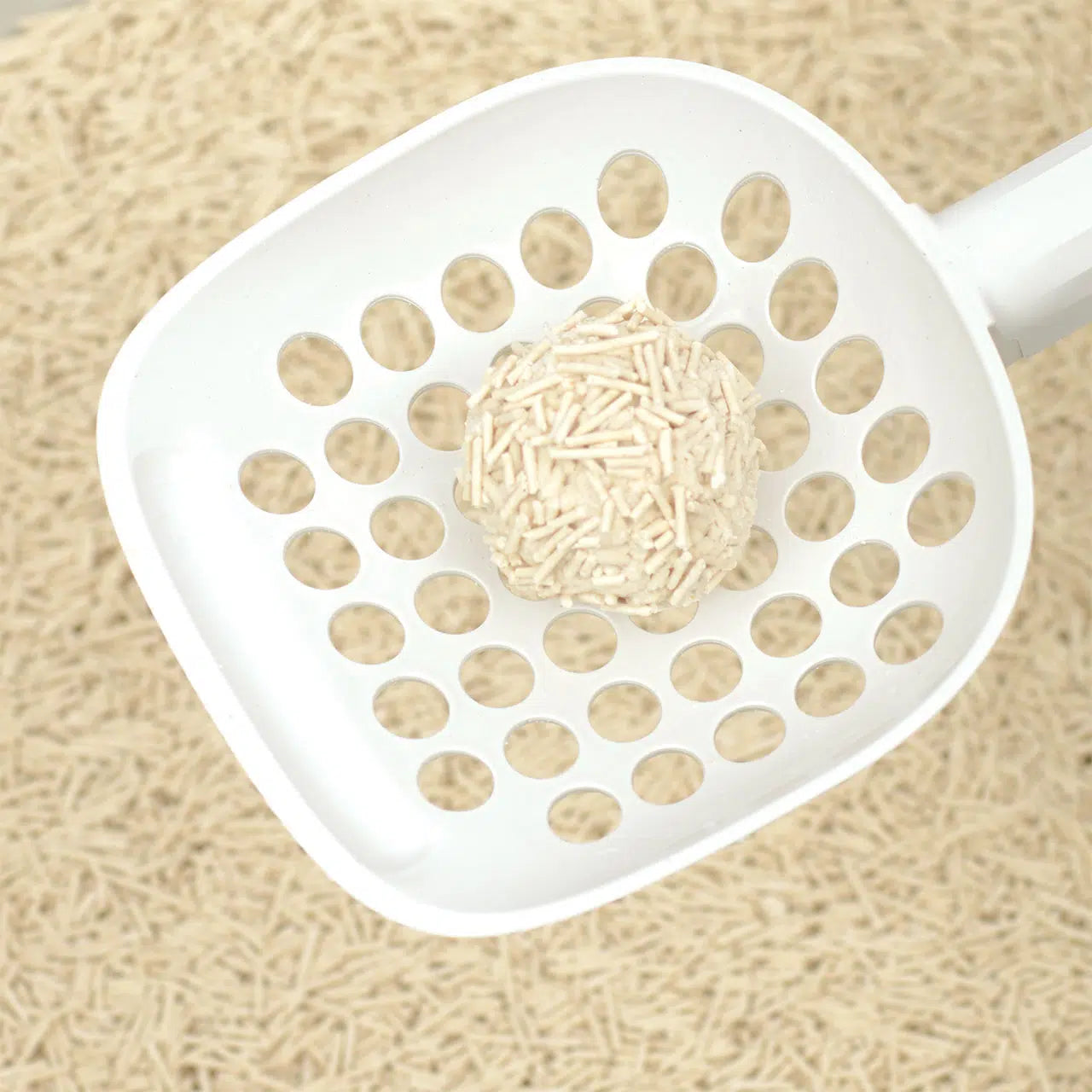 Catit 🍁Go Natural! Unscented Pea Husk Clumping Litter 5.6kg