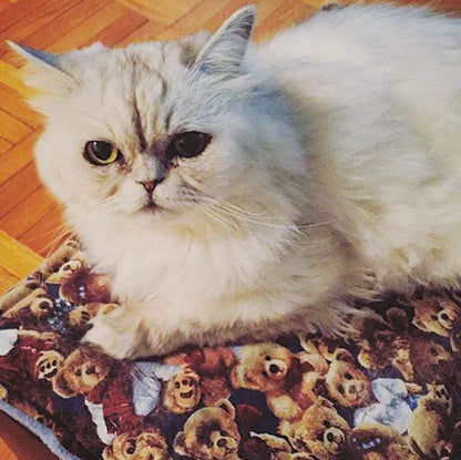 Krazy Kitty 🍁Refillable Catnip Blanket