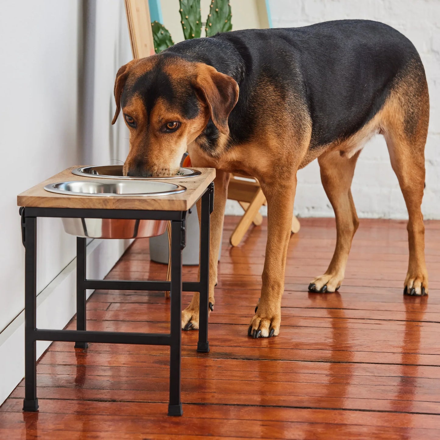 GF Pet 🍁Wood and Metal Natural Raised Feeder