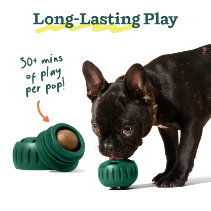 Woof PB & Chicken Pupsicle Refill Pops