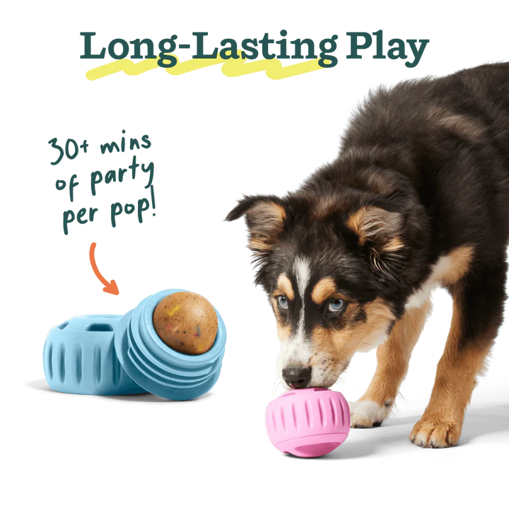 Woof Birthday Pupsicle Refill Pops